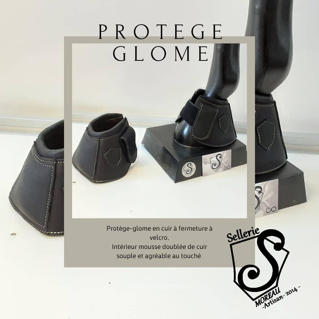 protege-glome